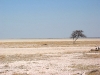 Etosha 2 053